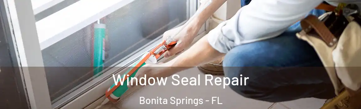Window Seal Repair Bonita Springs - FL